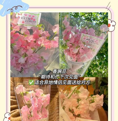 春节有哪些特别的花语？春节送花的传统意义是什么？