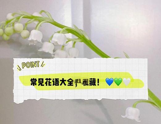 花语大全包含哪些祝福？花语大全的意义是什么？