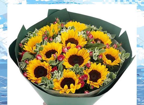 送什么花代表友情？友情花语有哪些？