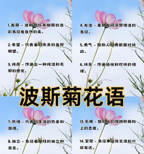 送什么花代表友情？友情花语有哪些？