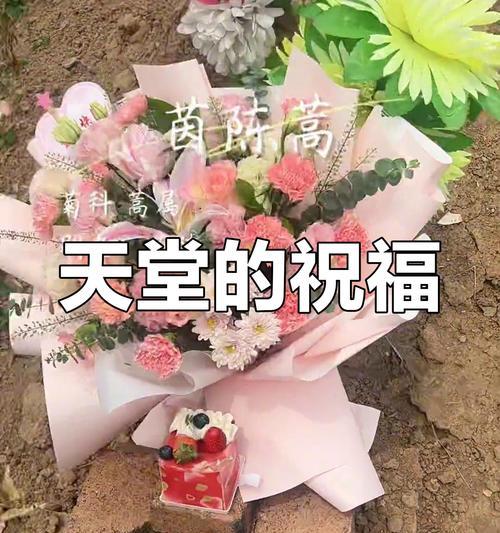 哪种花寓意天堂的祝福？它的含义是什么？