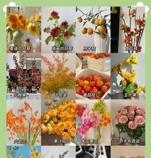粉色渐变的花代表含义是什么？粉色花卉的浪漫寓意。231