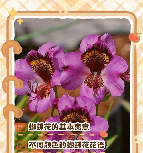 哪种花寓意与爱情有关？爱情相关花的寓意是什么？