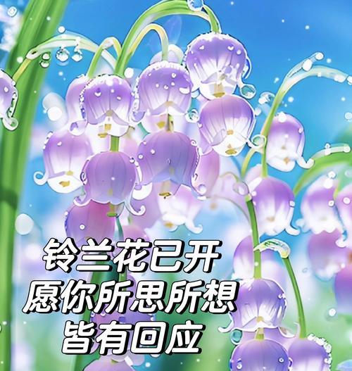 哪种花象征着丰富的爱情？它的寓意是什么？