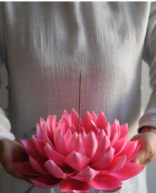 粉色莲花象征什么？粉色莲花代表了哪种花？