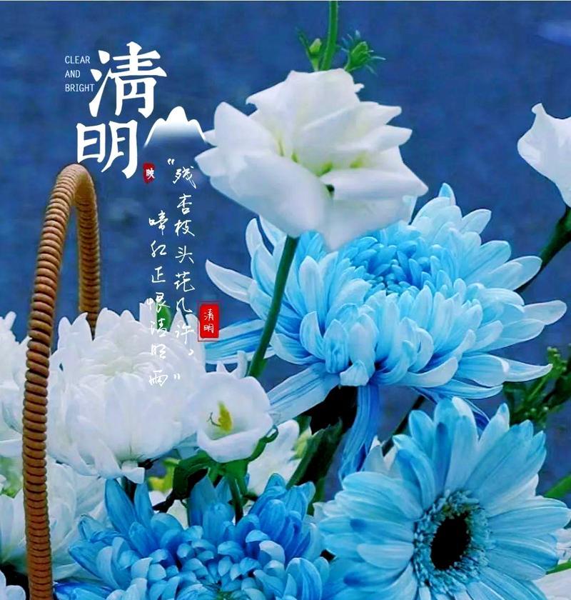 清明节应该用哪些花来象征？它们的寓意是什么？