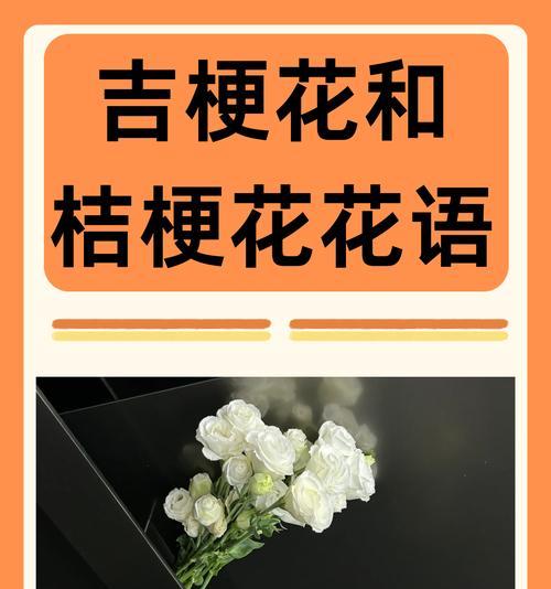 白色桔梗花象征什么？桔梗花的花语有哪些？