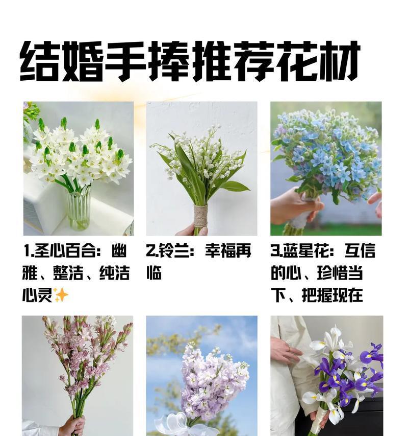 毕业手捧花代表什么意义？选择时应注意哪些事项？
