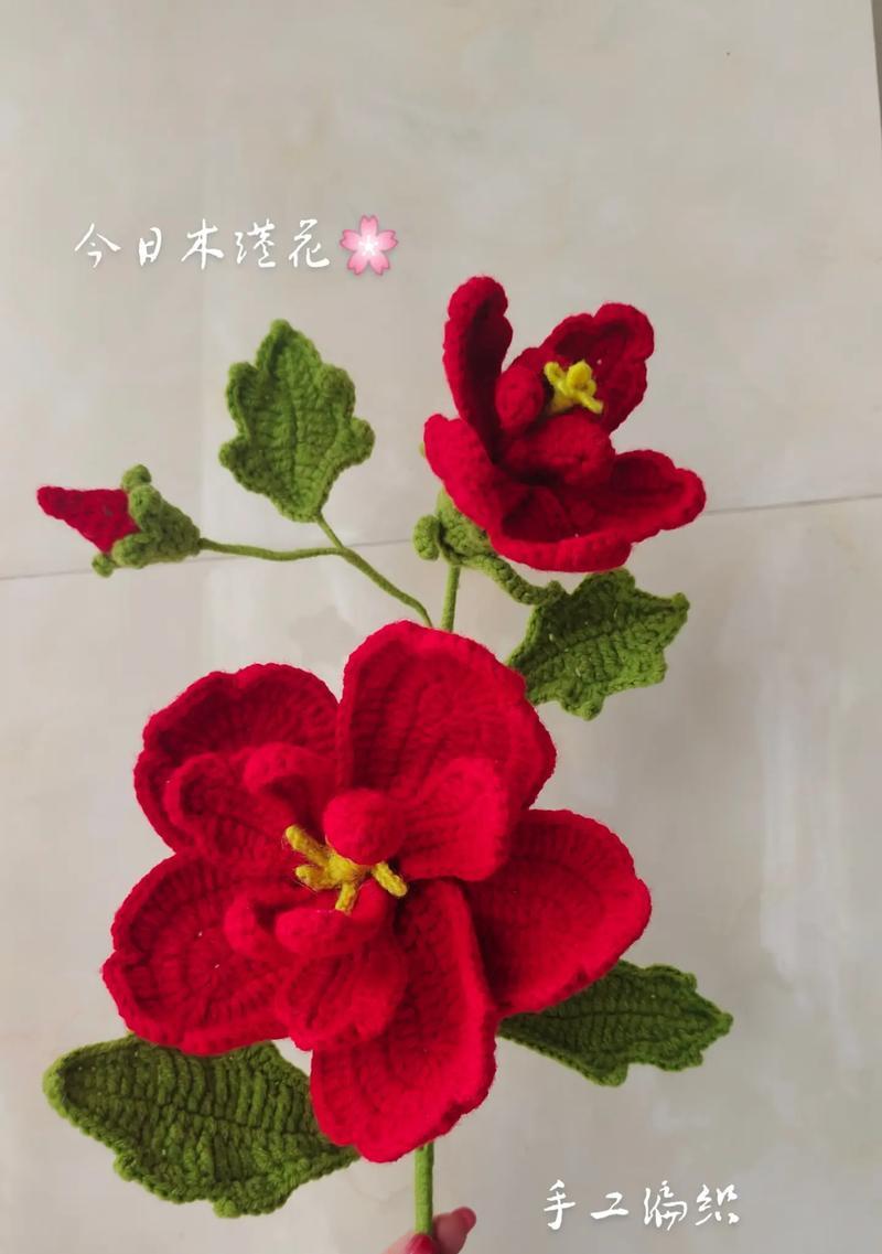 木槿花的爱情花语是什么？它象征着什么？