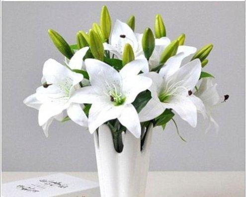 黄色百合花代表什么？送人有何特别含义？