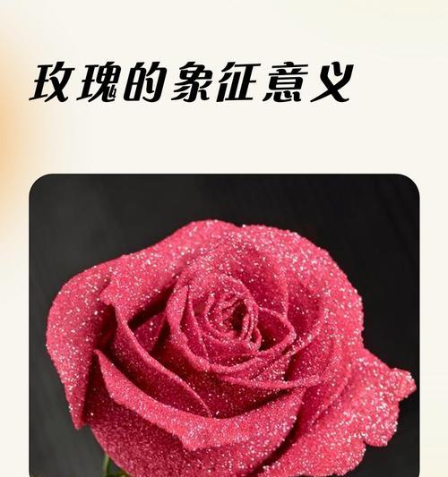 寓意超浪漫的花有哪些？它们为何被认为是爱情的象征？