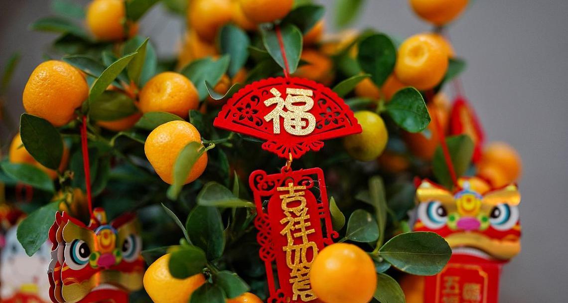 妹妹送姐姐什么花代表健康？它的寓意是什么？