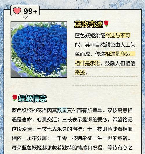 送给老人的花有哪些寓意和花语？