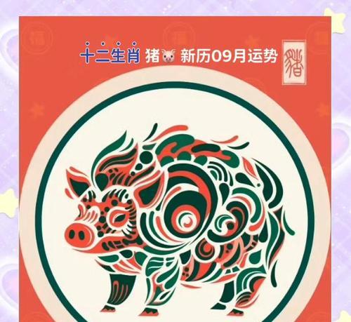属猪的人适合什么颜色的花？不同生肖与花色的寓意关系是什么？