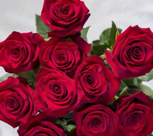 20朵橘色玫瑰花代表什么？橘色玫瑰花的寓意是什么？