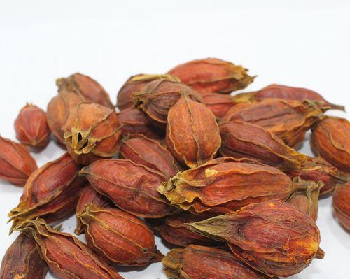 水色花语里包含花语吗？水色花语的寓意是什么？