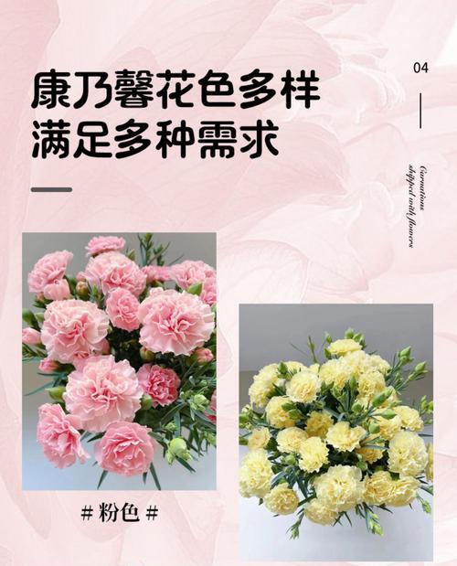 粉色和绿色康乃馨的花语是什么？
