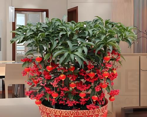 哪种花代表吉祥？吉祥花的寓意是什么？