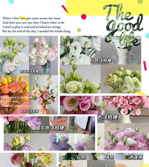 气色与花语有何关联？如何用花语调节情绪？