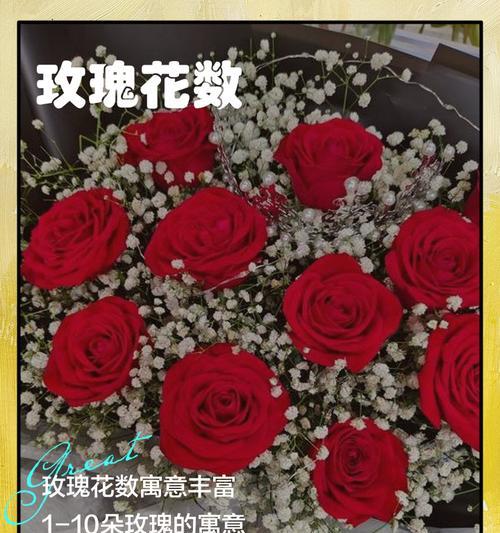 真玫瑰花送给老人有何寓意？它的象征意义是什么？