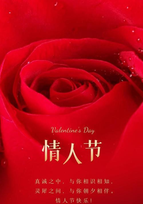 手表情人节花语短句是什么？如何表达情人节的爱意？