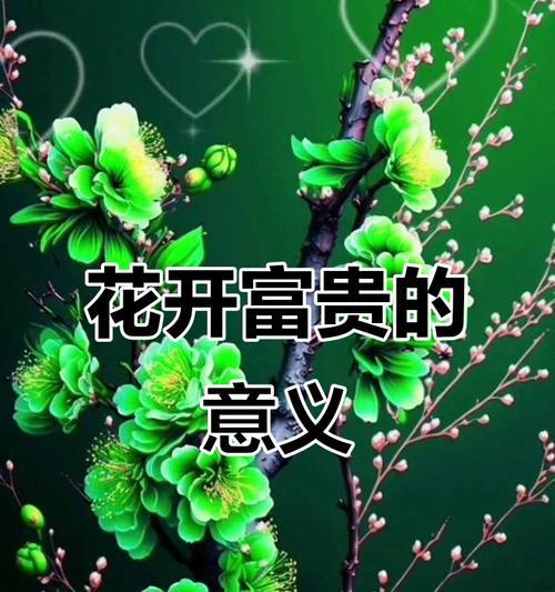 花的寓意能象征富贵吗？哪些花寓意象征富贵？