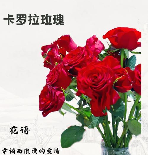 寓意爱情痛苦的花是什么？哪种花卉代表失恋或悲伤？