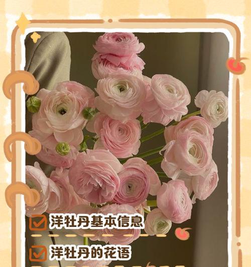 琉璃咖色牡丹花的寓意是什么？牡丹花的花语有哪些？