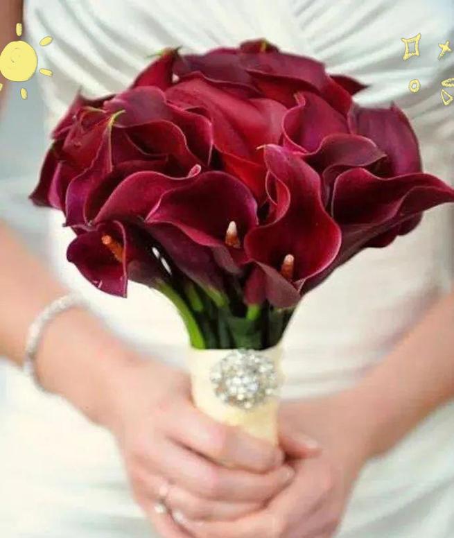 手捧花的寓意是什么？如何选择寓意深刻的手捧花？