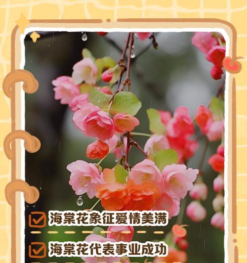哪种花象征爱情？它的故事是什么？