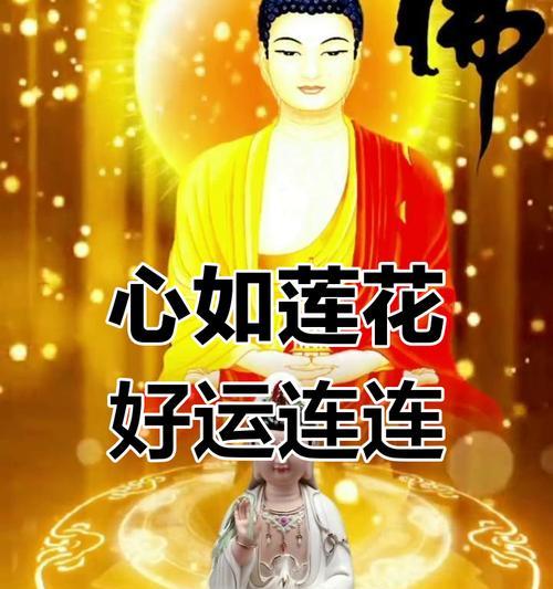 荷花为何象征好运？