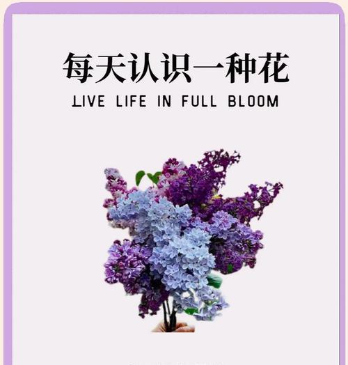 花真的代表爱情吗？花的寓意中包含爱情吗？