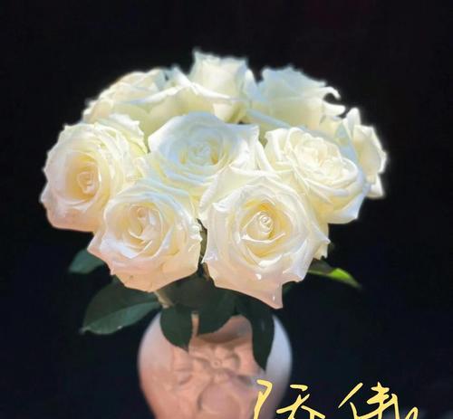 哪种花寓意为自信的爱情？自信爱情的花语是什么？