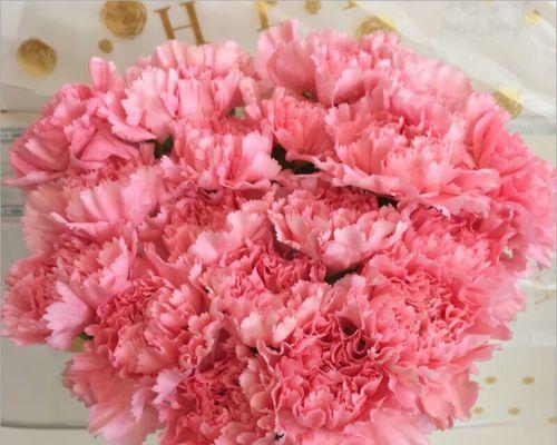 粉红色花代表什么意义？送粉红色花的含义是什么？