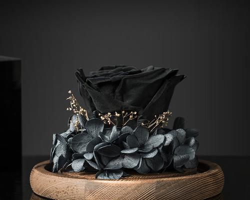 黑色永生花有何特殊含义？它象征着什么？