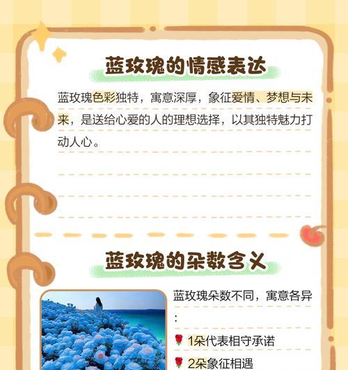 玫瑰花象征爱情的美文有哪些？玫瑰花的花语是什么？