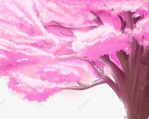 粉色芦苇花代表了哪些含义？