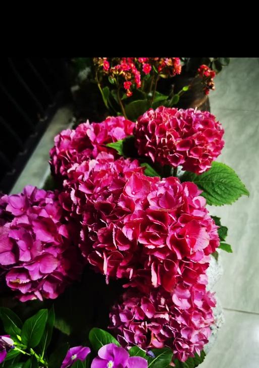 假花如何象征财富和富贵？