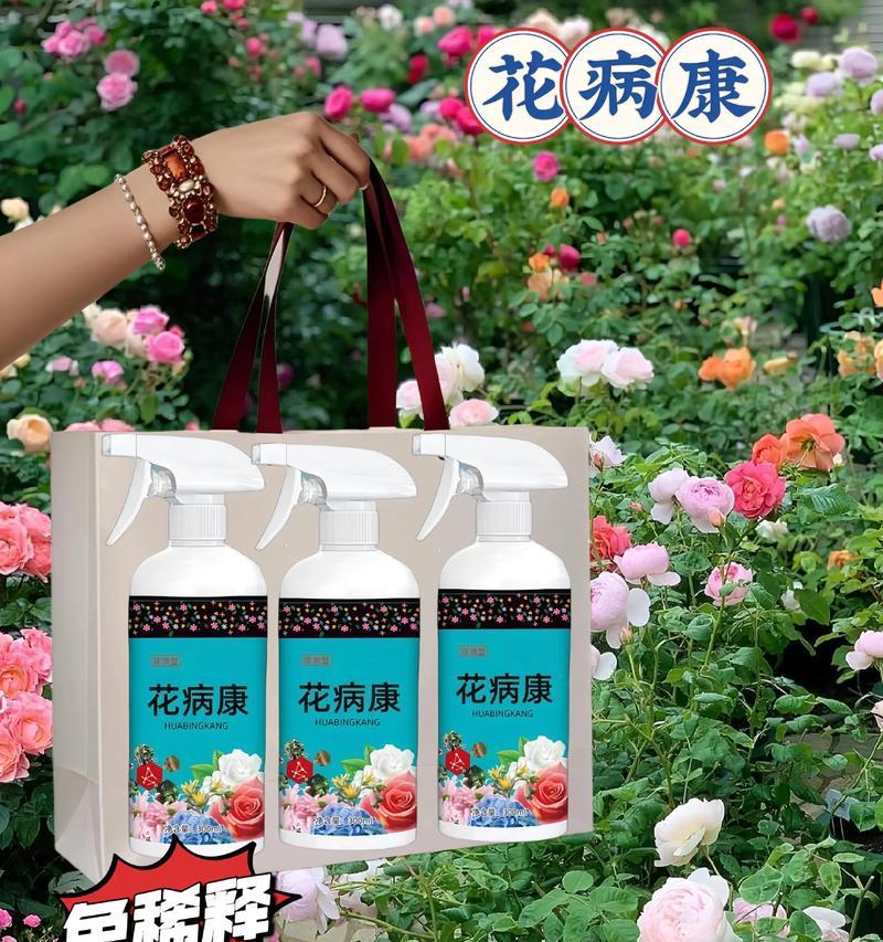 哪些花象征健康无病？健康花卉的寓意是什么？