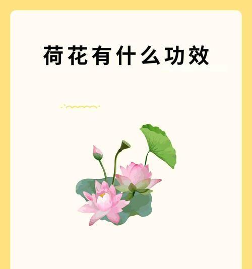 富贵花与荷花各自有什么寓意？