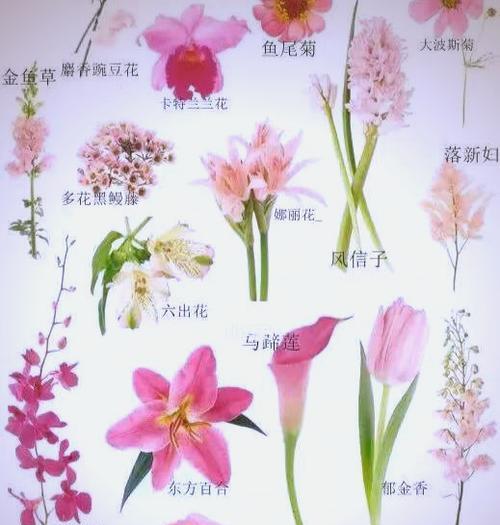 扎花和手捧花的寓意有何不同？它们各自代表什么？