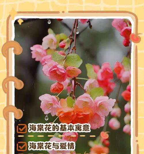 哪种花寓意着爱情的长久？它的花语是什么？