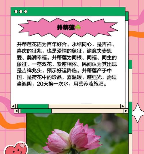 哪种花寓意着爱情的长久？它的花语是什么？