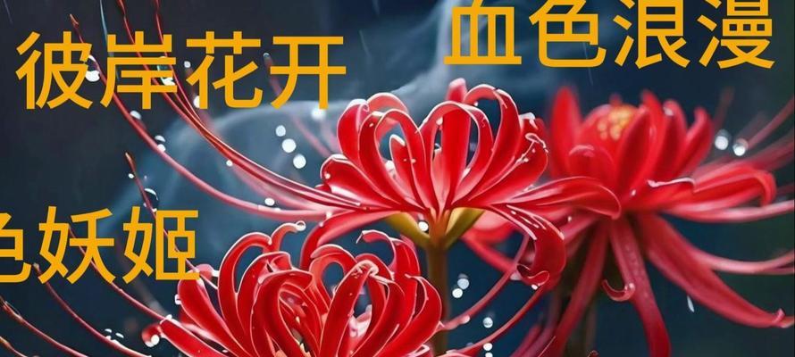 赭色花的花语是什么？它代表了什么？