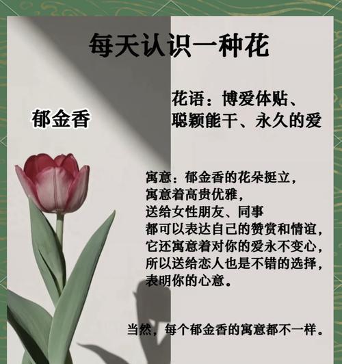 金色花朵代表了哪些意义？