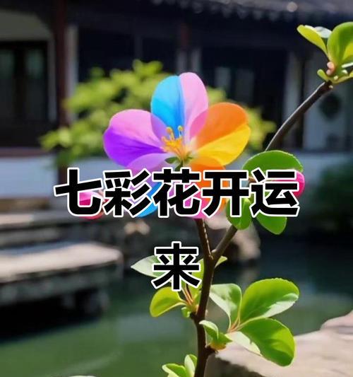 哪种花寓意好运连连？好运花的花语有哪些？