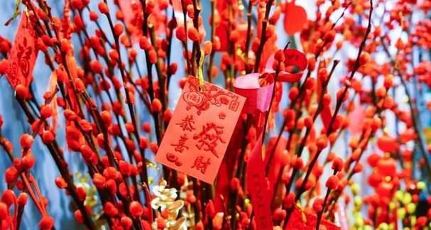 春节送什么花寓意好？春节花卉的象征意义是什么？