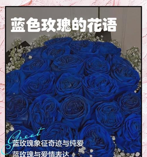 蓝色香的花语是什么？蓝色香花有哪些寓意？
