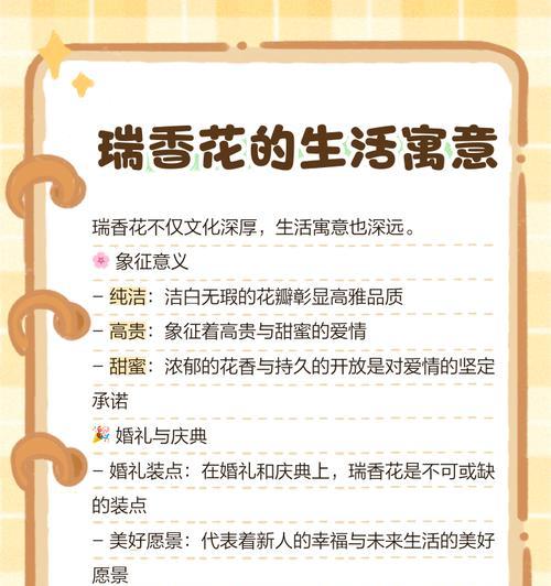 花语大全中哪些寓意最吉祥？