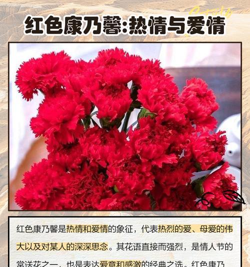 爱情康乃馨的花语是什么？康乃馨如何表达爱意？